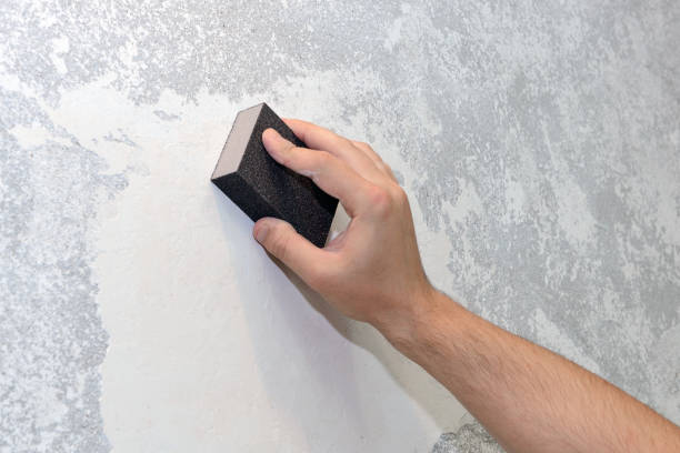 Best Forensic Mold Investigation  in Wilder, VT