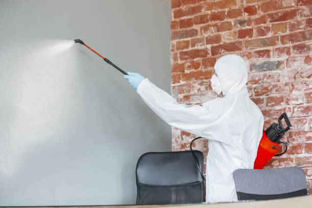 Best Industrial Mold Remediation  in Wilder, VT