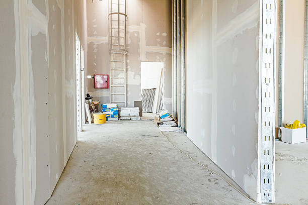 Best Mold Documentation for Insurance Claims  in Wilder, VT